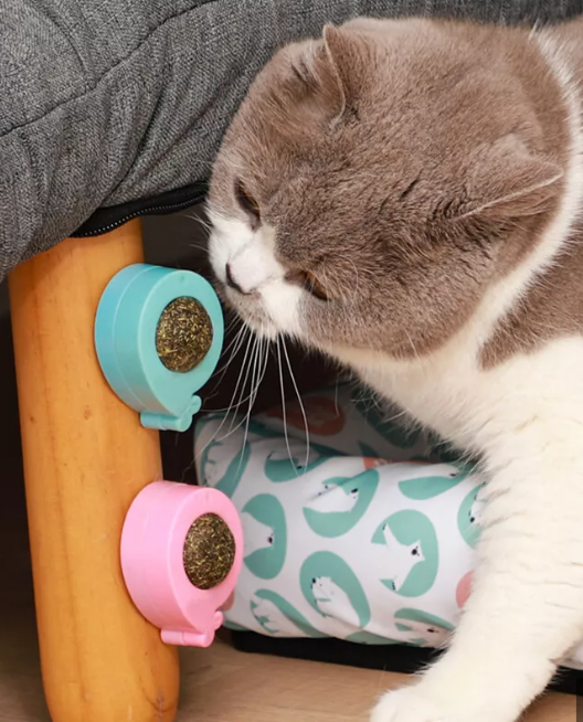Why the NEKO INU Catnip Wall Ball is a Must-Have for Every Cat Owner