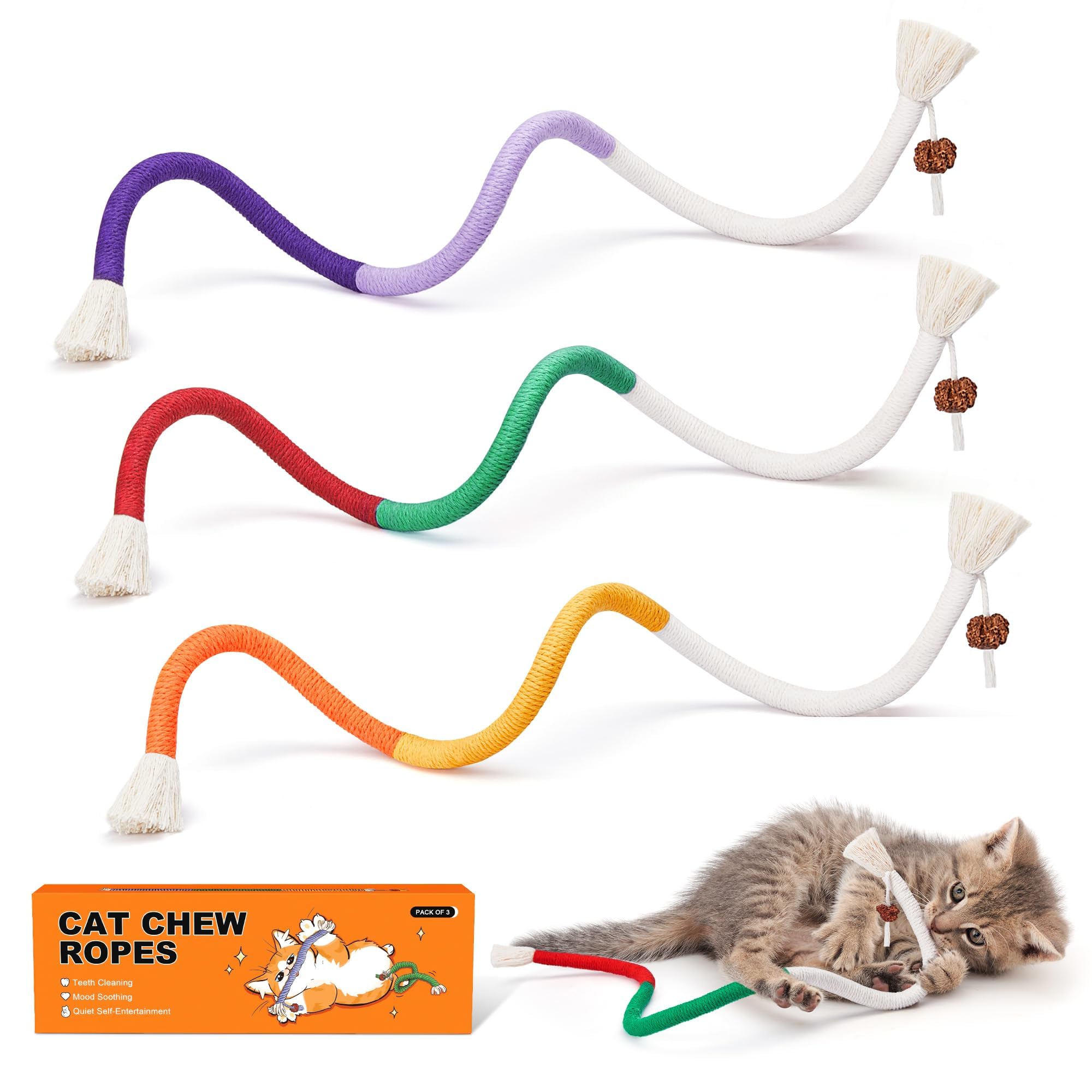 New Ideas for your indoor cat