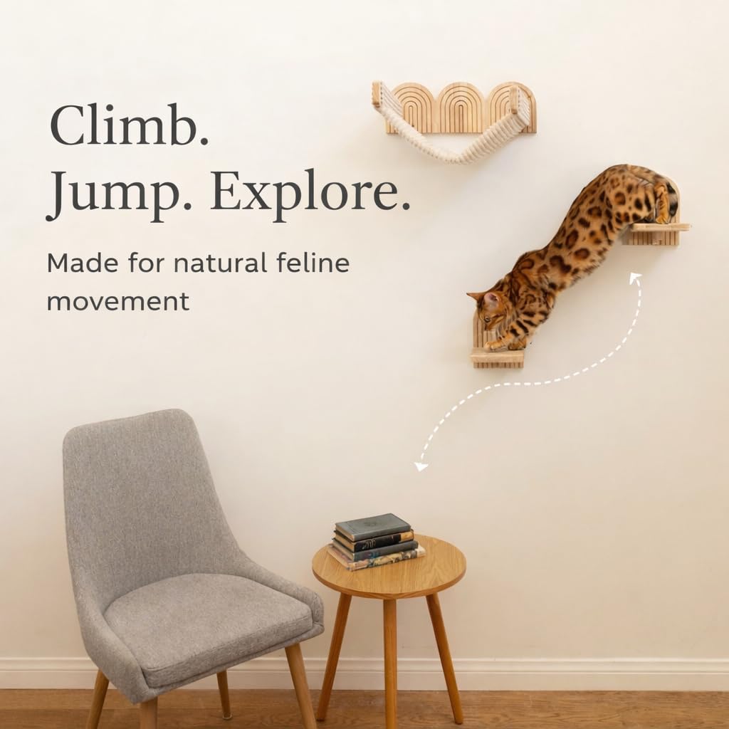 The Floating Horizon Modular Cat Shelf System