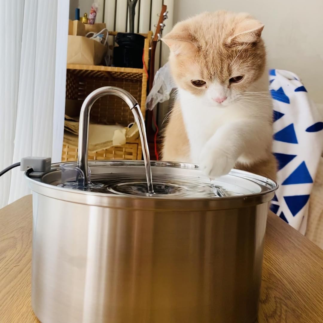 The KittySpout 3.2L Surgical Stainless Steel Fountain