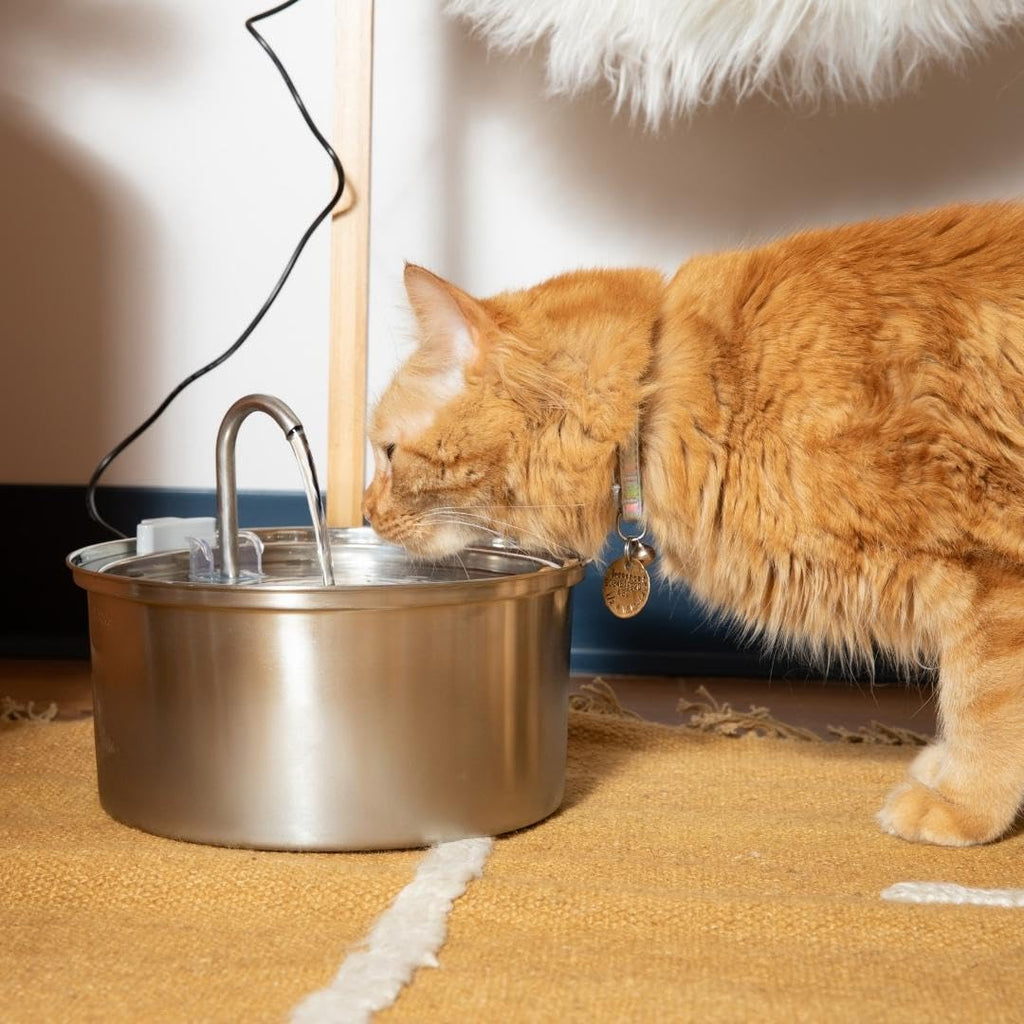 The KittySpout 3.2L Surgical Stainless Steel Fountain