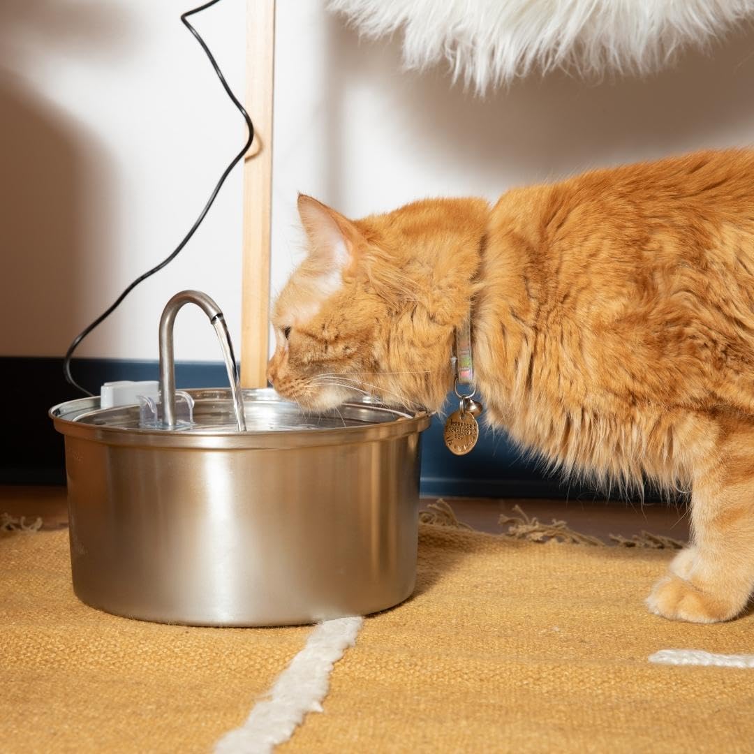 The KittySpout 3.2L Surgical Stainless Steel Fountain
