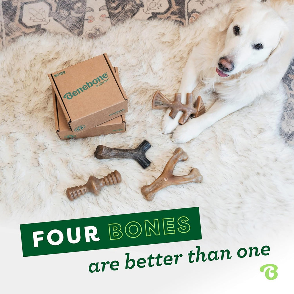 Benebone Medium 4-Pack Dog Toys for Aggressive Chewers