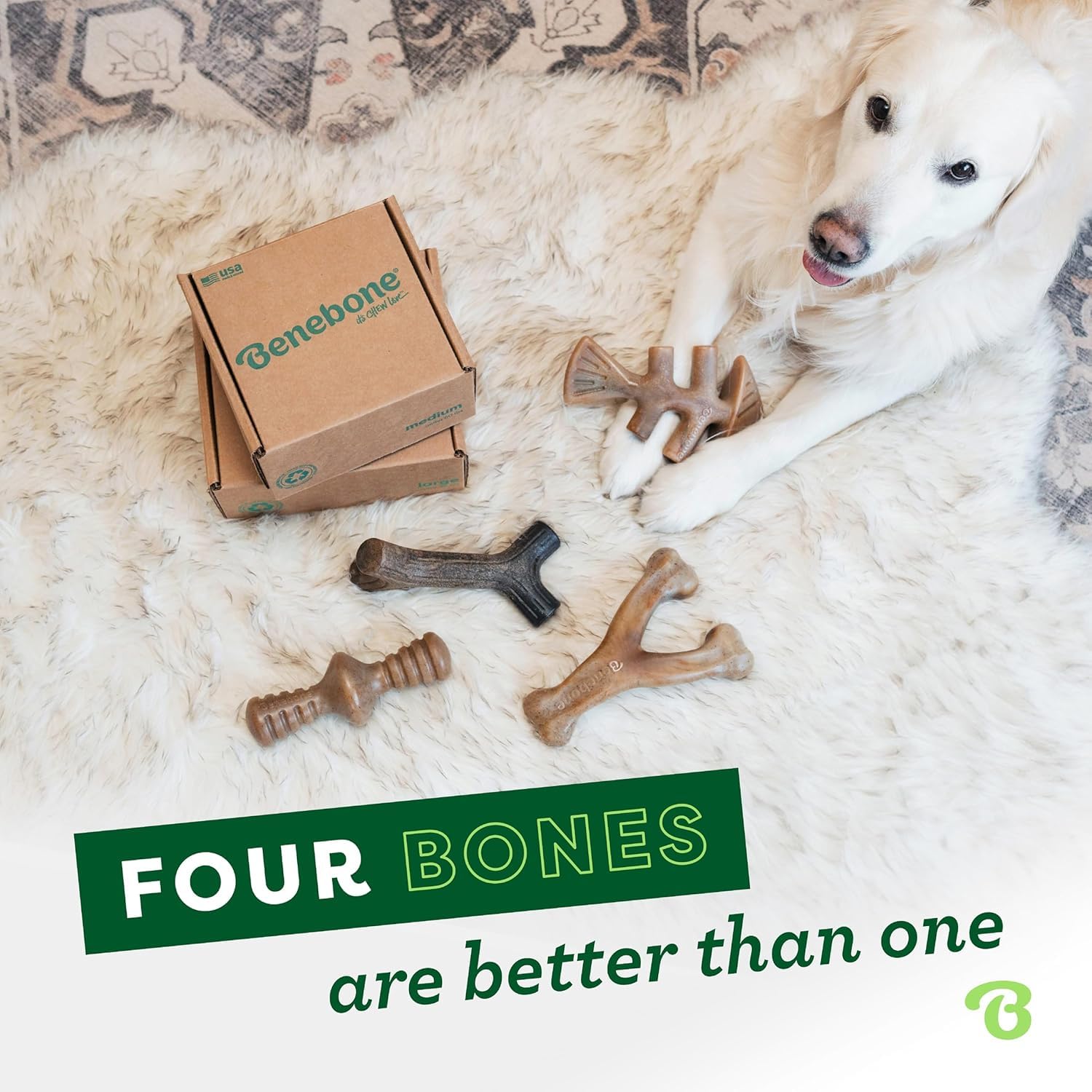 Benebone Medium 4-Pack Dog Toys for Aggressive Chewers