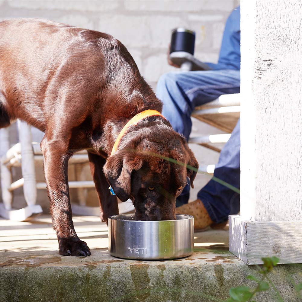 The Boomer 8 Heavy-Duty Dining Bowl