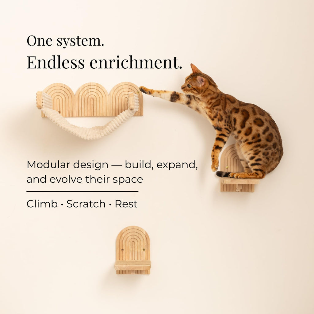 The Floating Horizon Modular Cat Shelf System