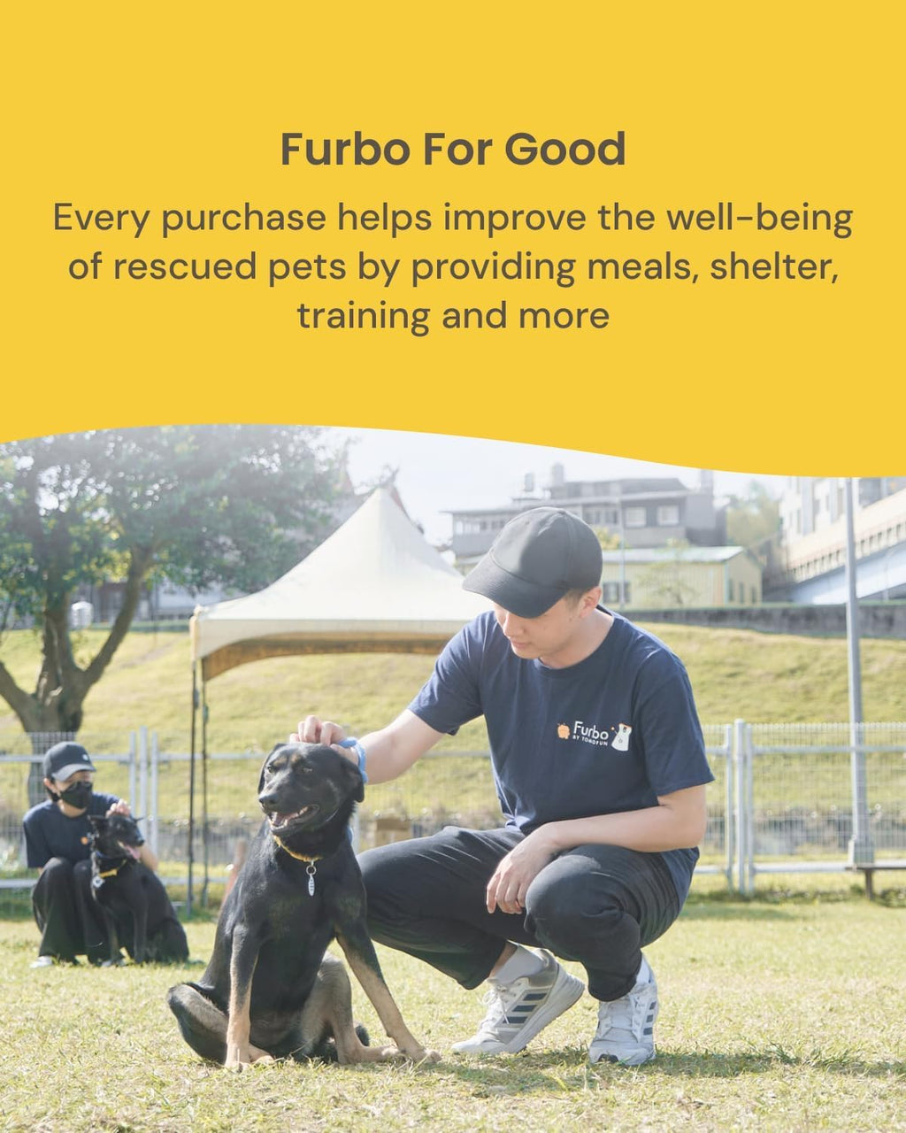 The Furbo 360° Smart HD Pet Camera