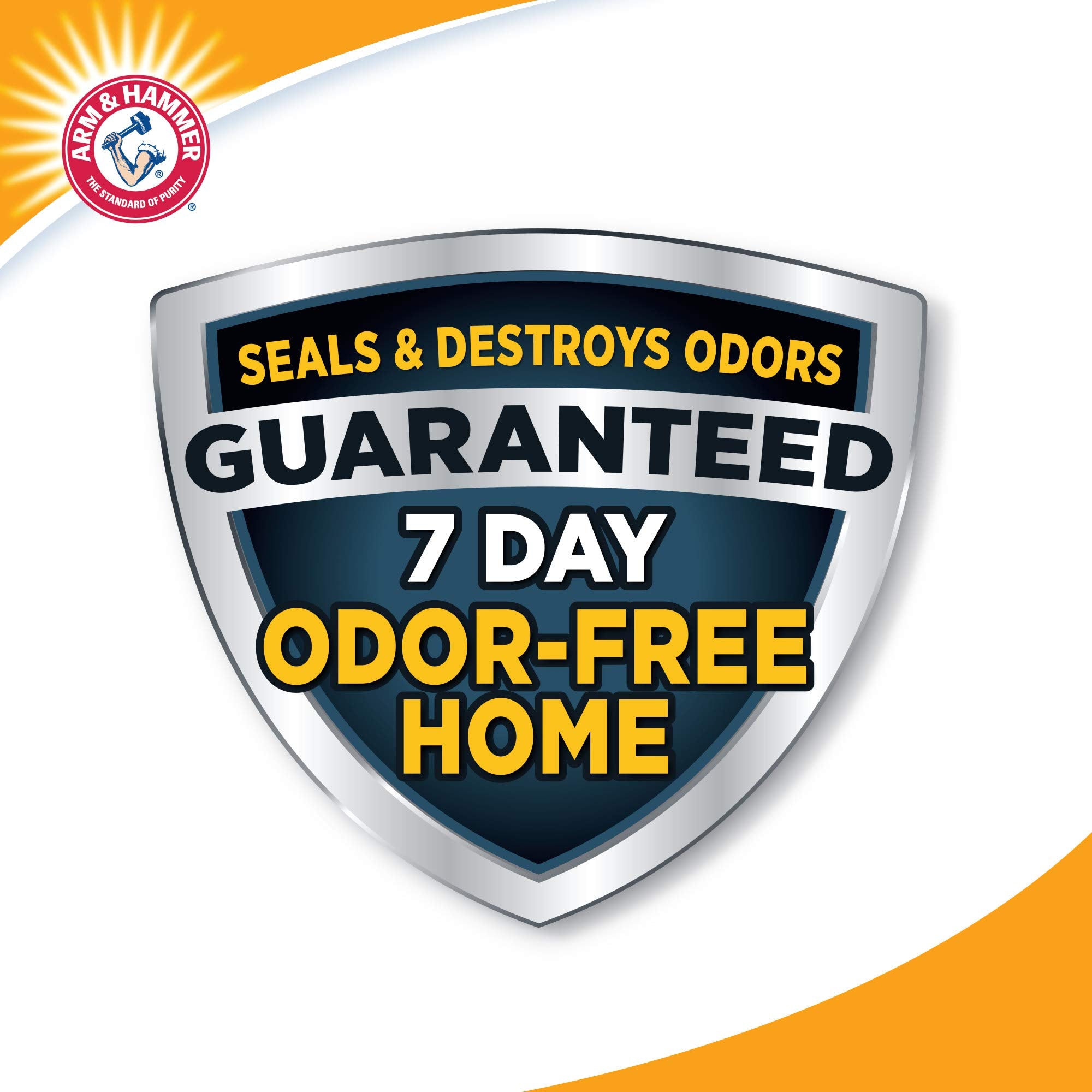 ARM & HAMMER Clump & Seal Cat Litter, Fresh Scent 14lb