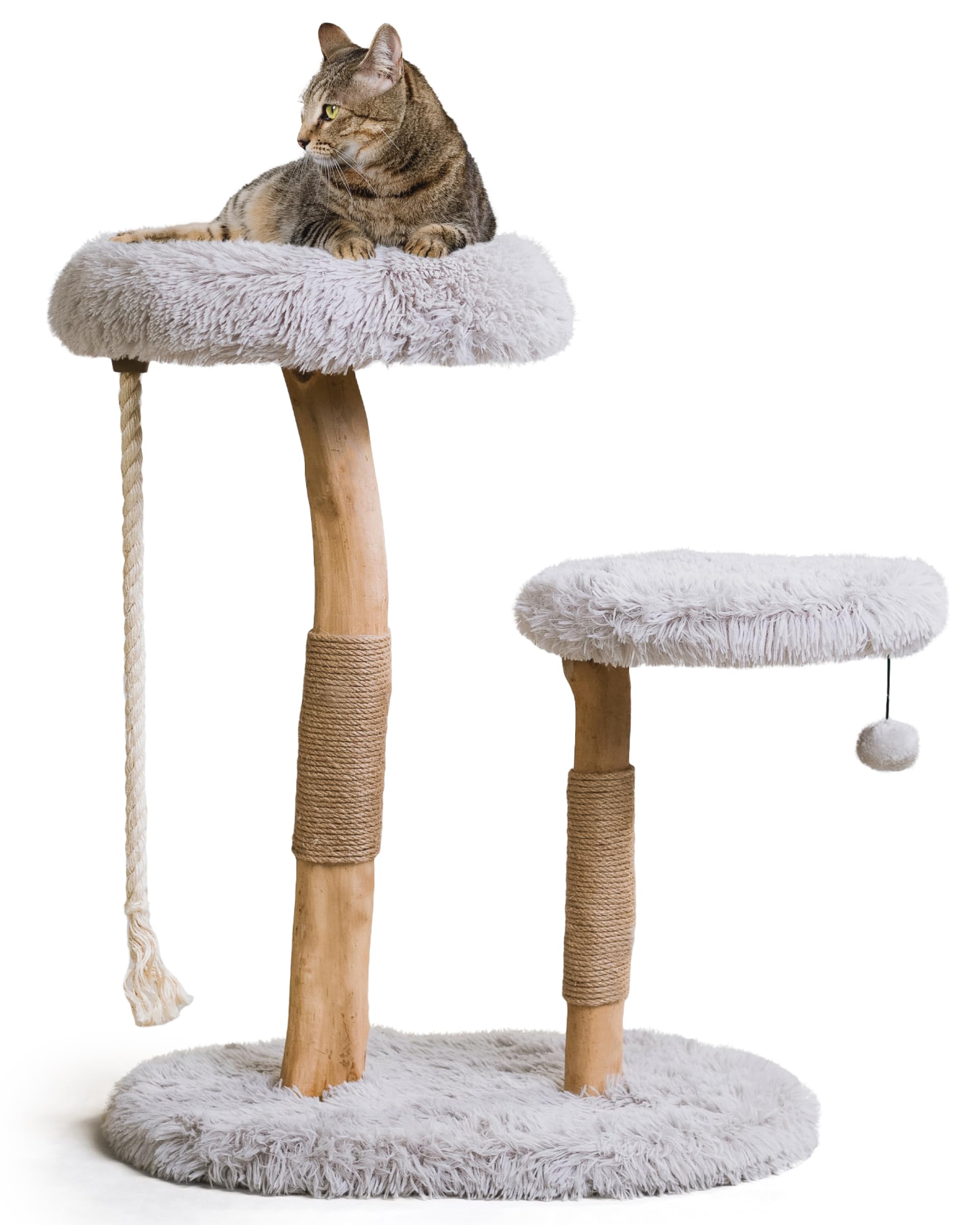 The Mau Rizzo Modern Wooden Cat Tree (Bullet gray)