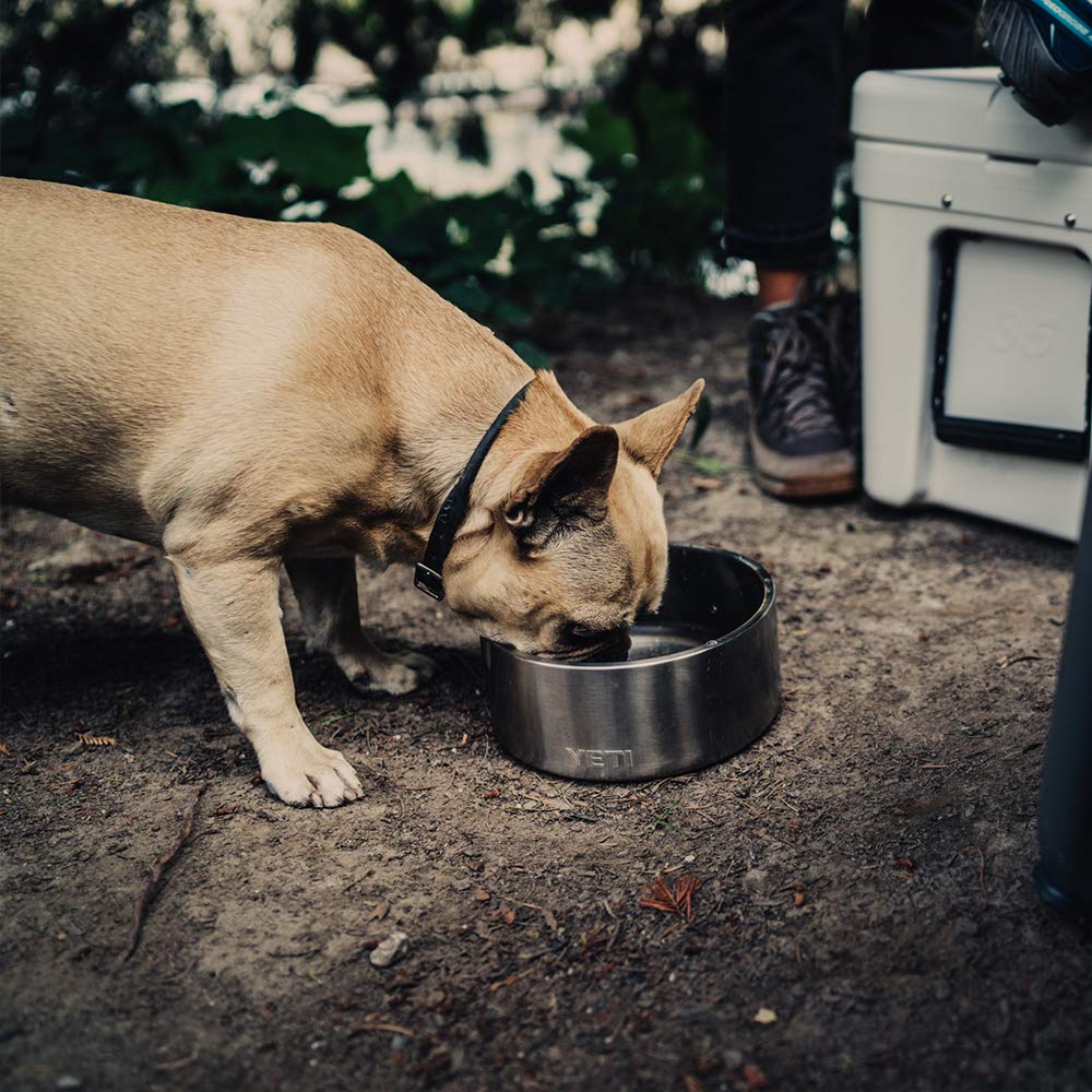 The Boomer 8 Heavy-Duty Dining Bowl