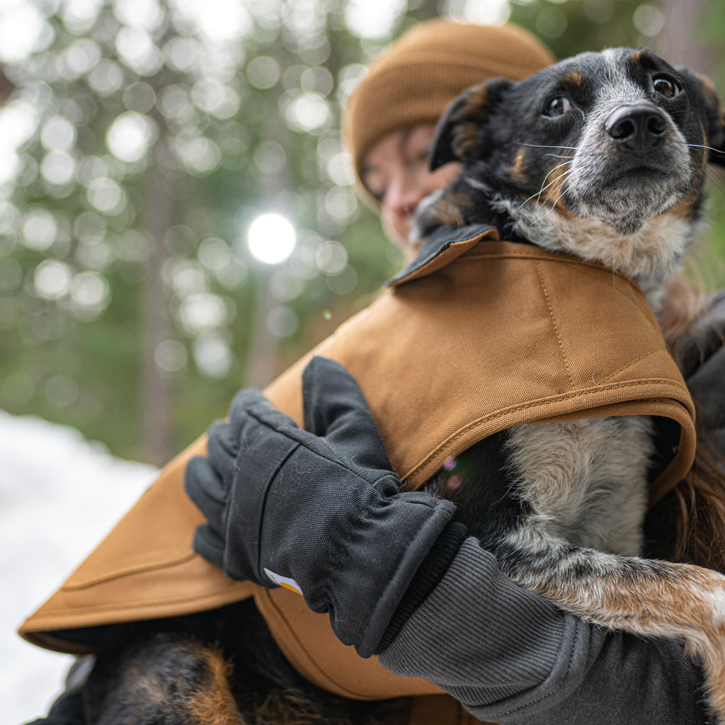 The Carhartt Heavy-Duty Insulated Chore Coat