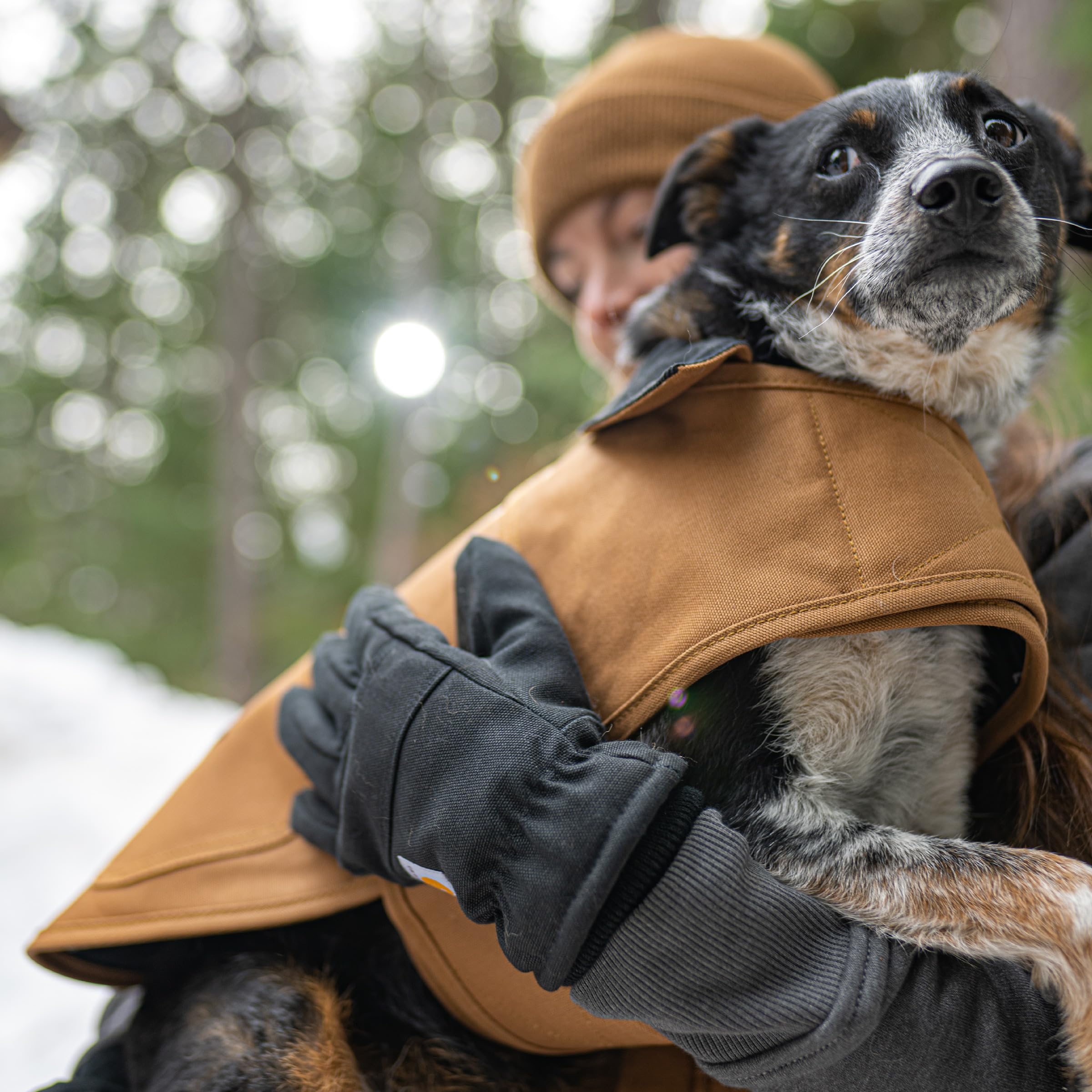The Carhartt Heavy-Duty Insulated Chore Coat