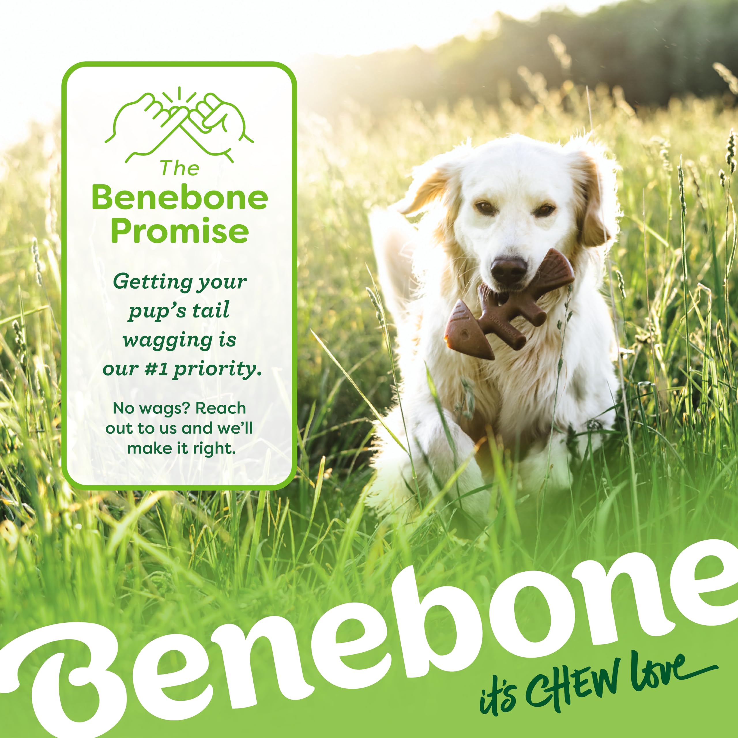 Benebone Medium 4-Pack Dog Toys for Aggressive Chewers
