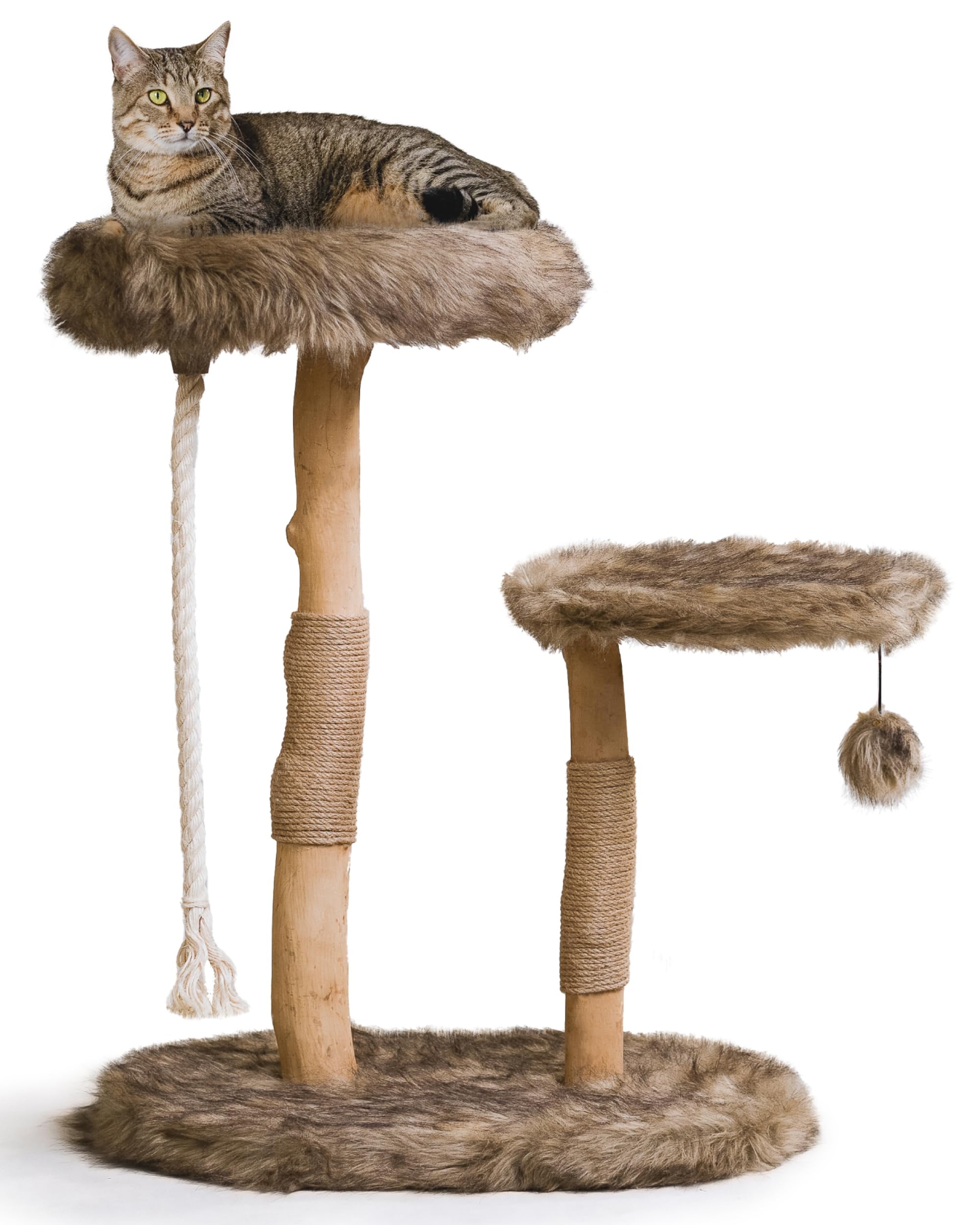 The Rizzo Modern Wooden Cat Tree (Brown)